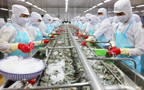 VIETNAM ECONOMY IS READY TO RECOVER